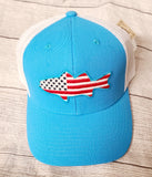 USA flag fish hat