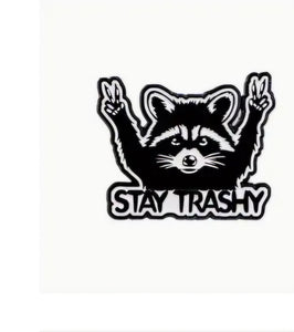 stay trashy raccoon pin