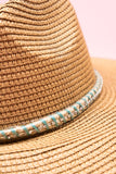 SAN JOSE SIGHTS TAUPE STRAW HAT