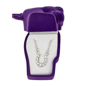 clear jn898 -RHINESTONE HORSESHOE NECKLACE W/ HORSE HEAD GIFT BOX